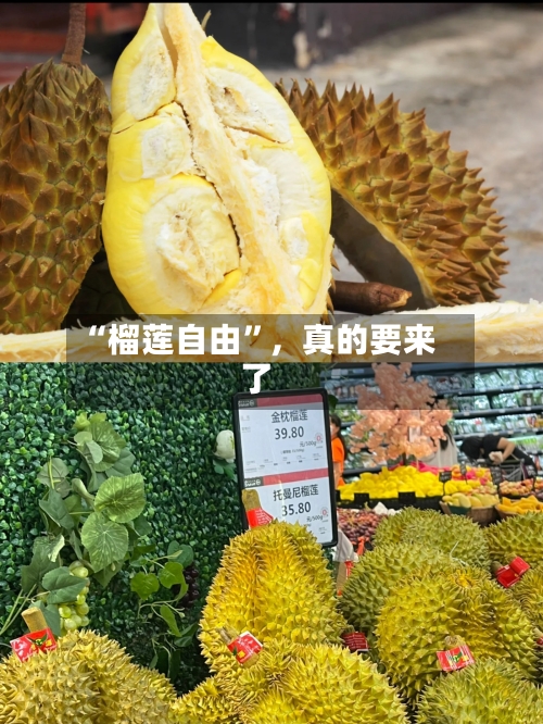 “榴莲自由”,真的要来了
